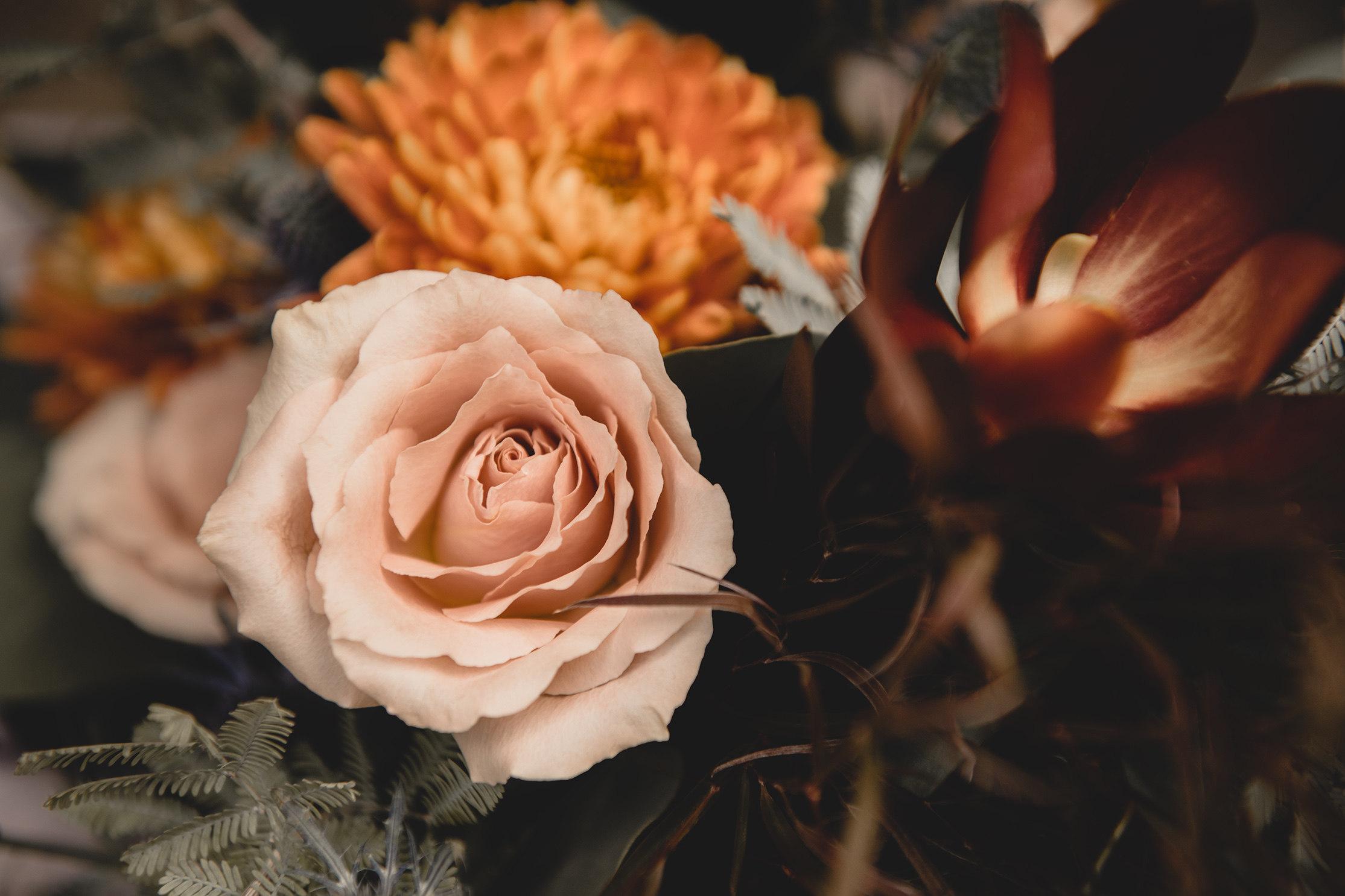 Rook and Rose Floral Design