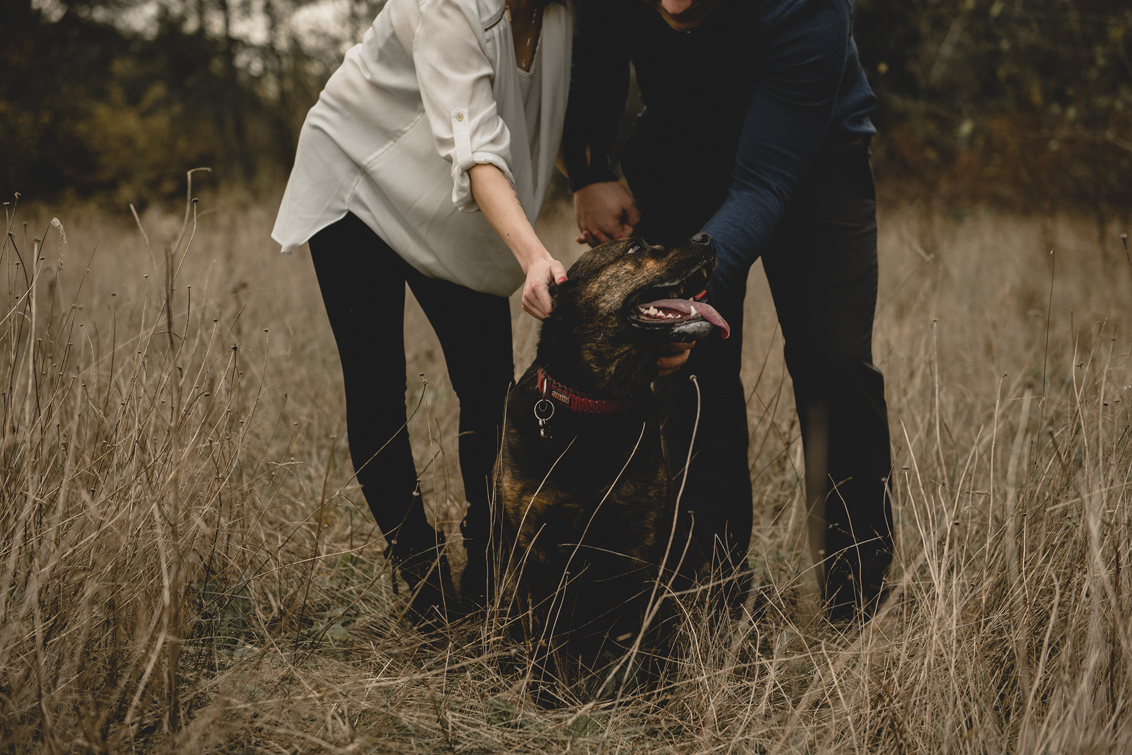 Elk Lake Engagement