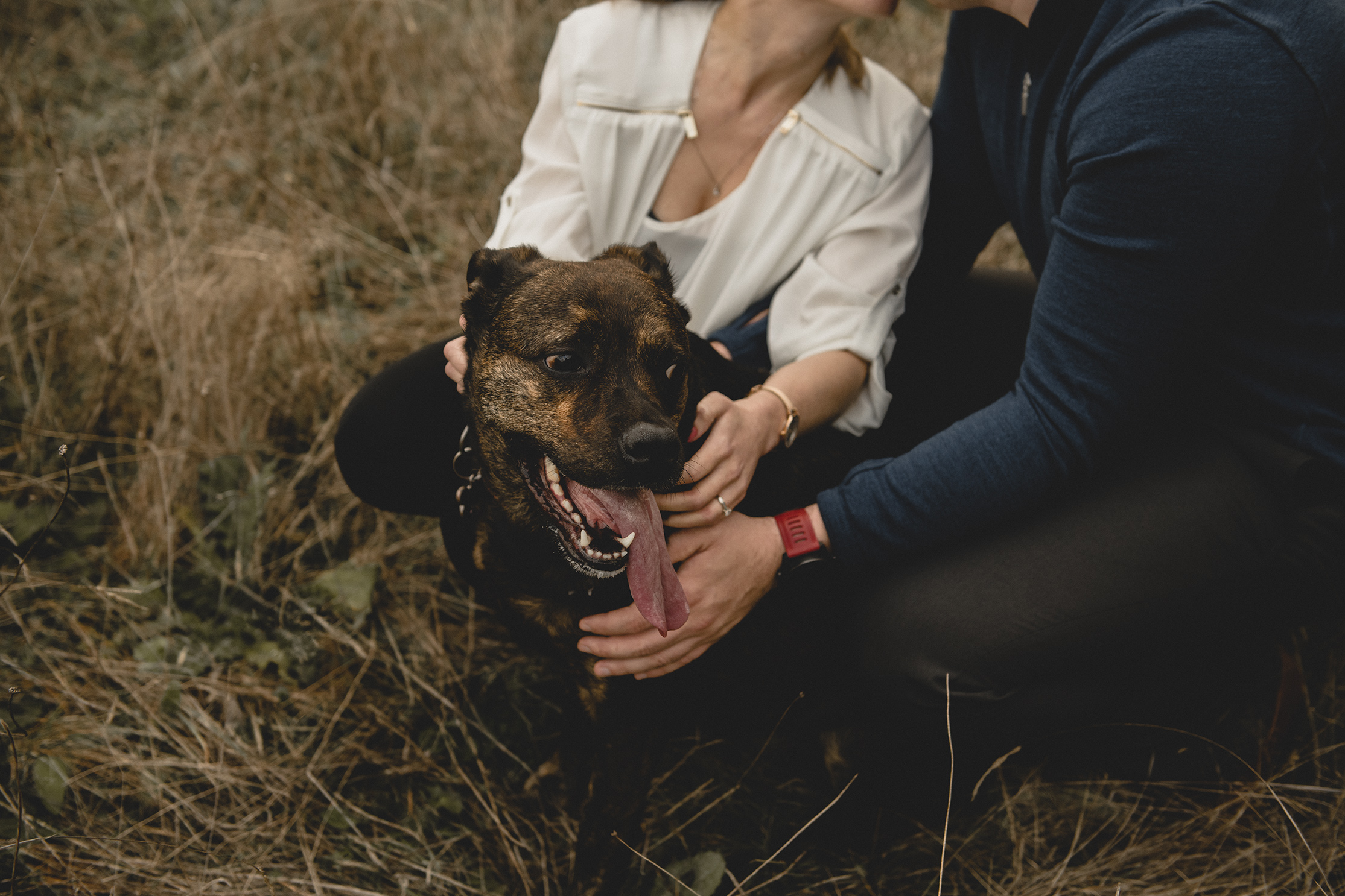 Victoria BC Engagement Photography