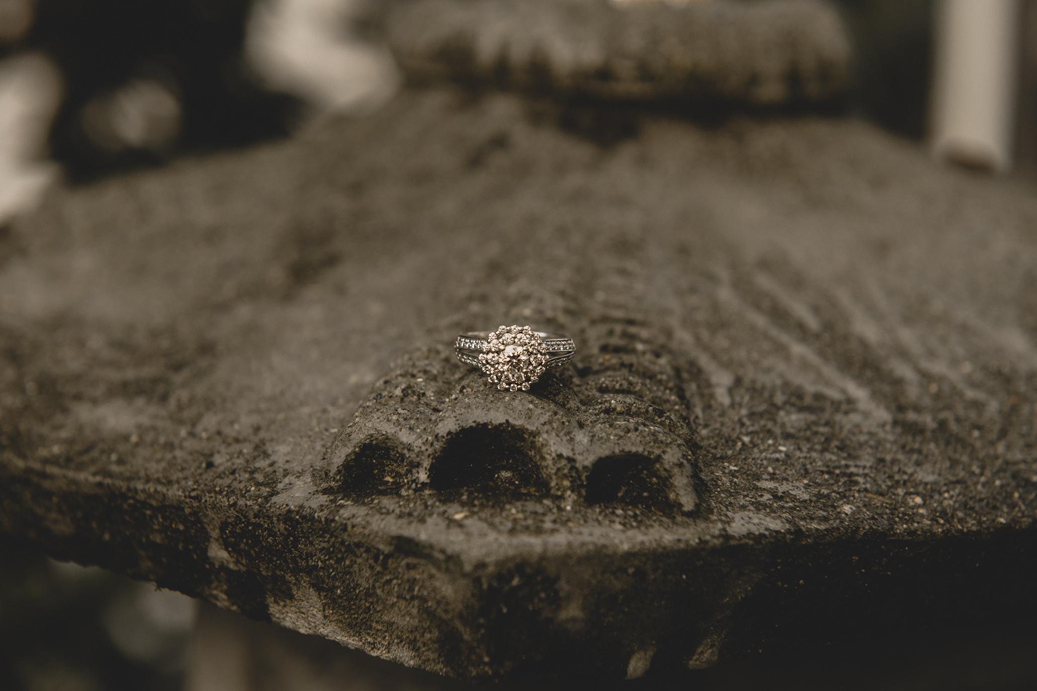 Coquitlam Wedding Photography