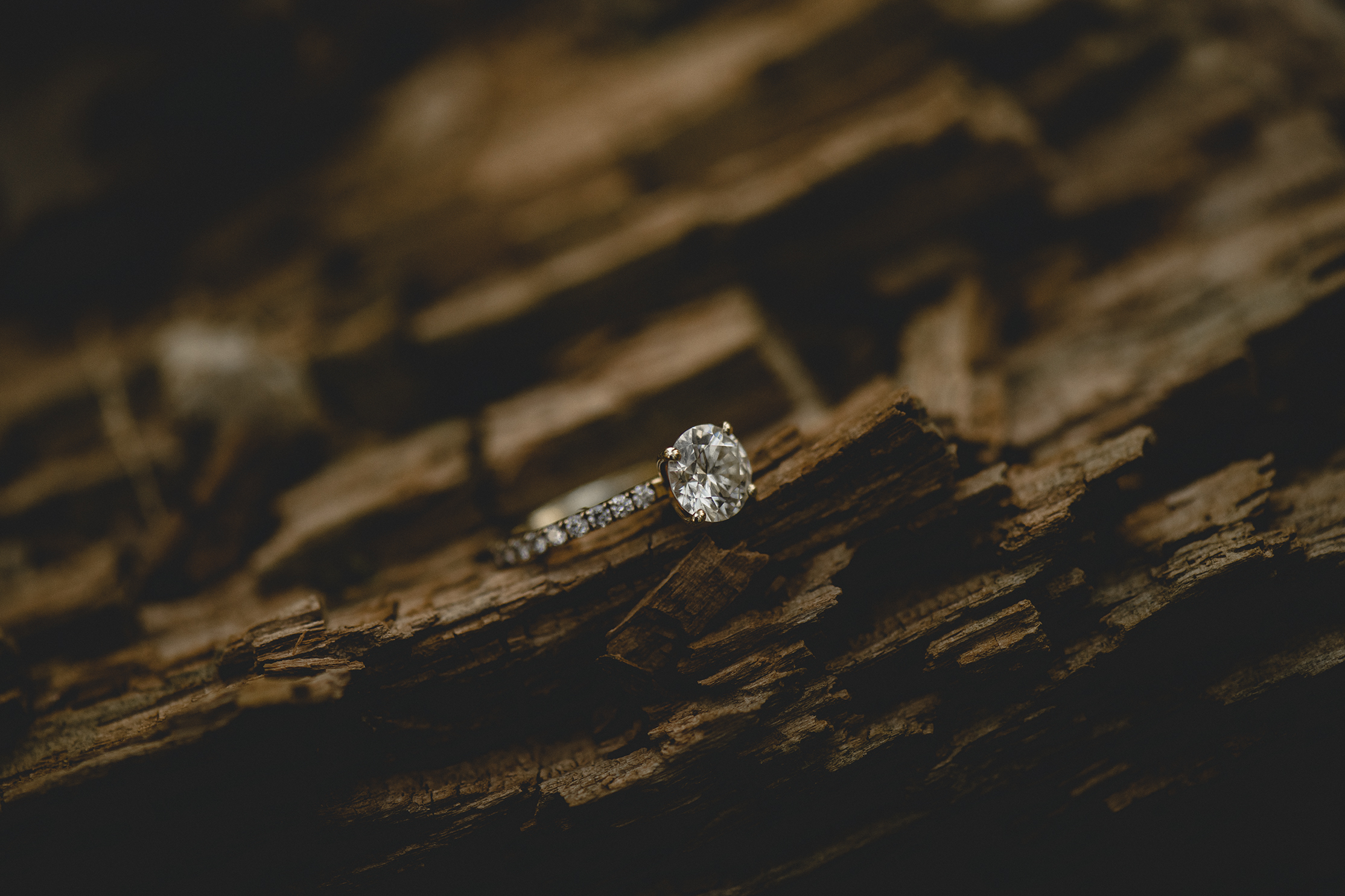 Engagement Photos Squamish