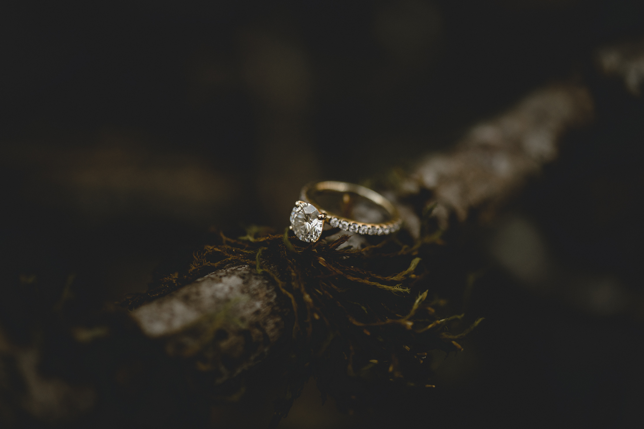 Engagement Photos Squamish