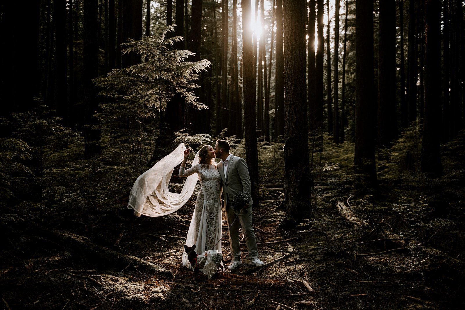 Vancouver Forest Elopement Photographer