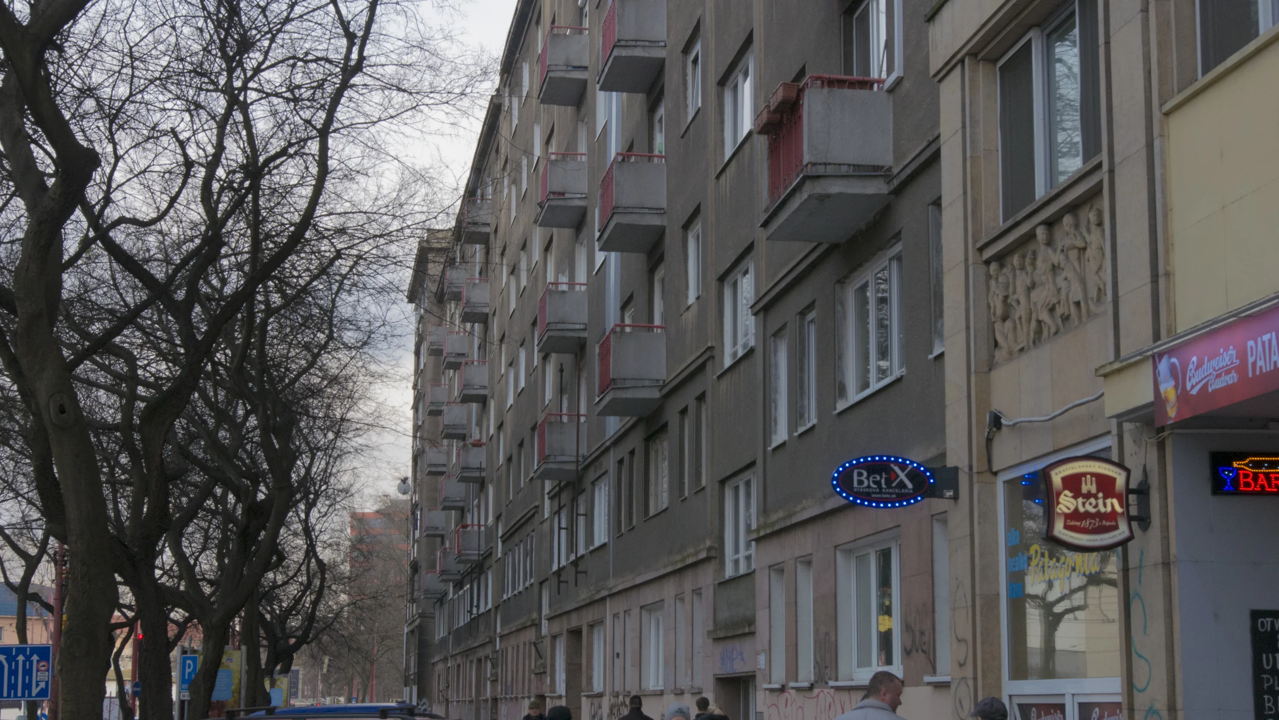 P1020177.jpg