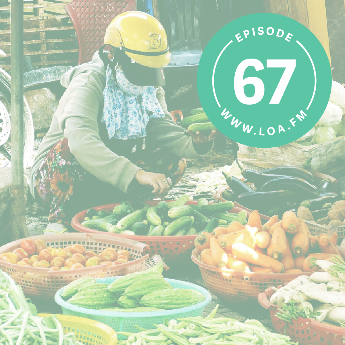 Episode 67 - February News Review; Food Safety After the Fish Crisis