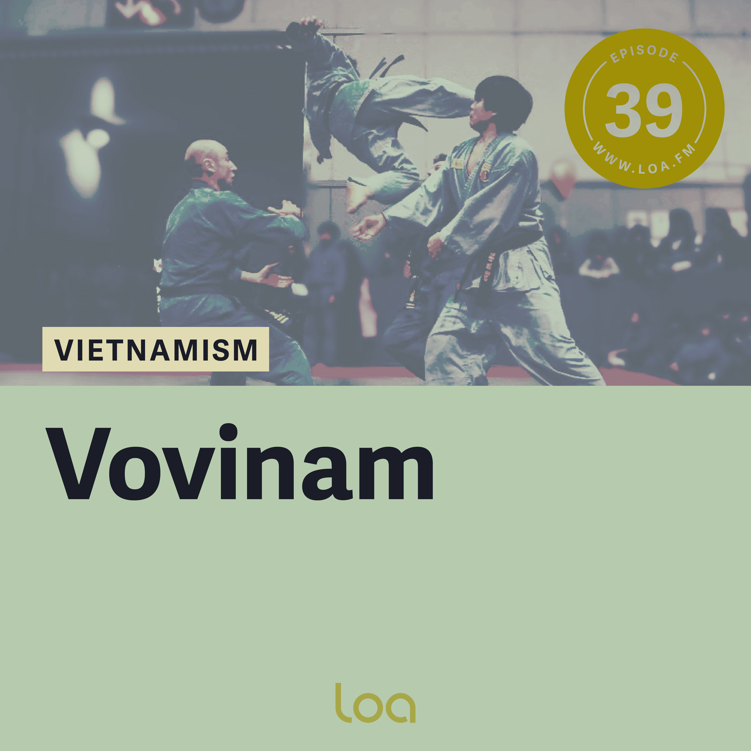 Vovinam: The Sky Blue Flying Kick Masters