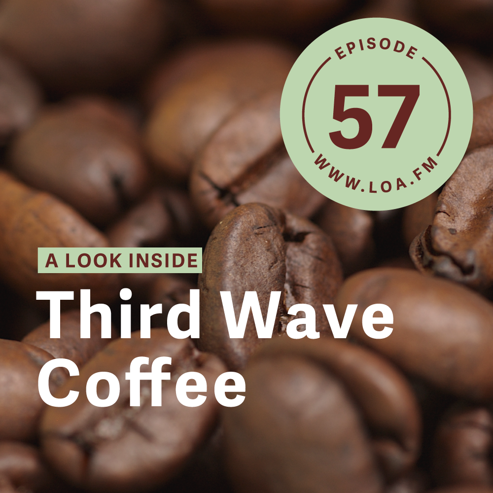 From Field to Cup: Việt Nam Rides Coffee's Third Wave