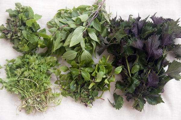 Herbs are an essential part of Vietnamese cuisine and add flavor and texture to the dish. (Photo: Loa)