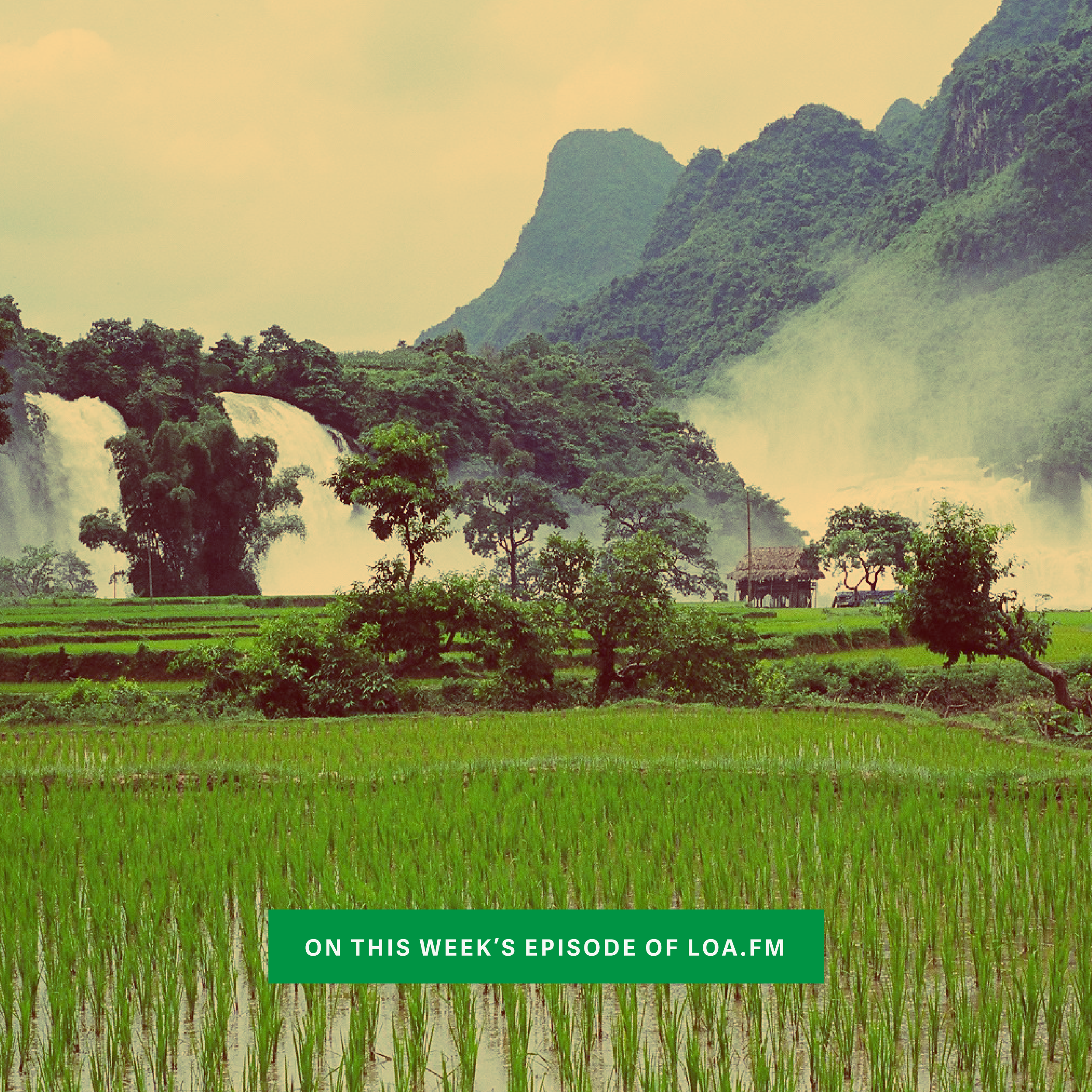 Việt Nam’s Environmental Awakening