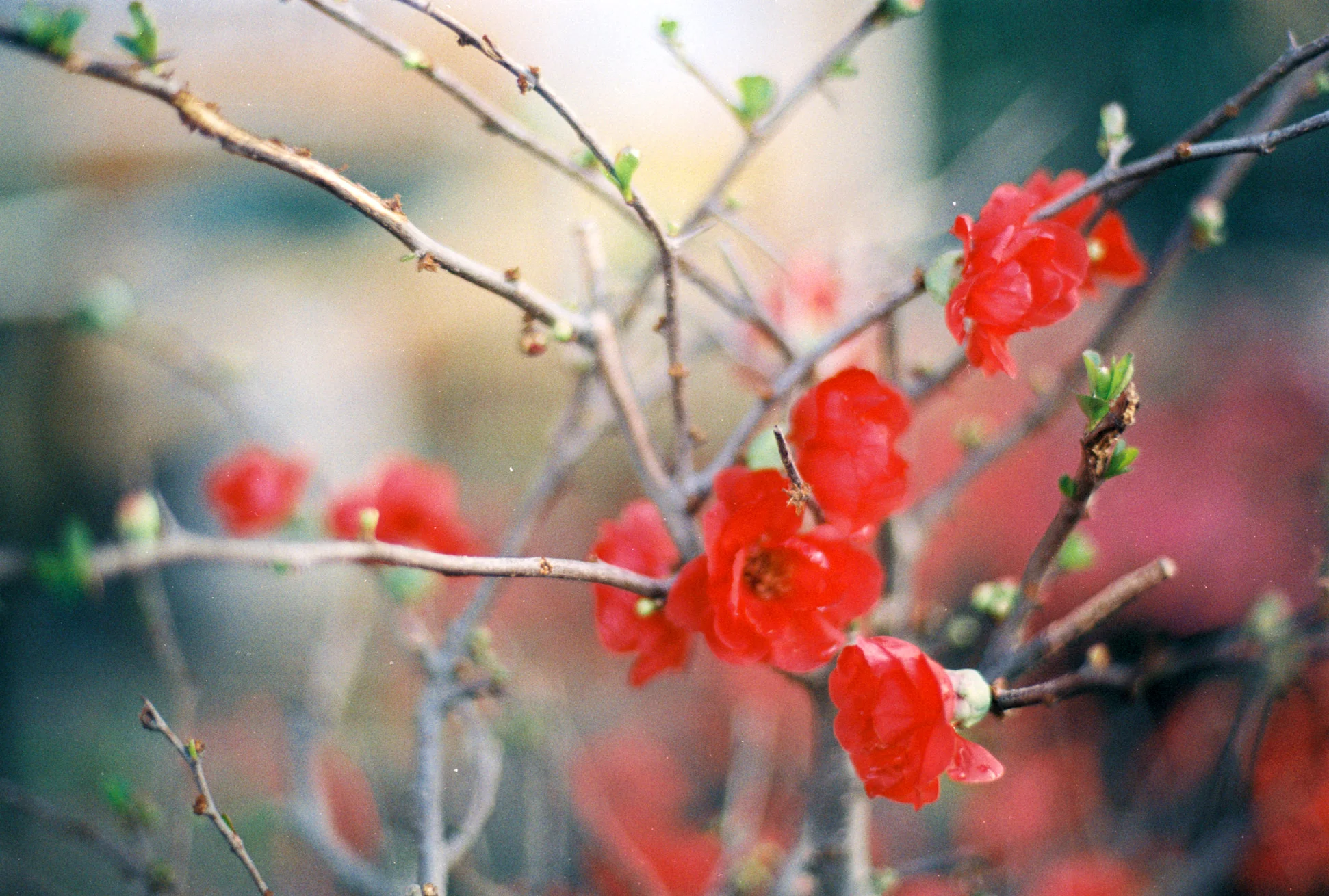 (Photo: Flickr/ Khanh Hmoong)