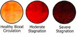 image-asset.png
