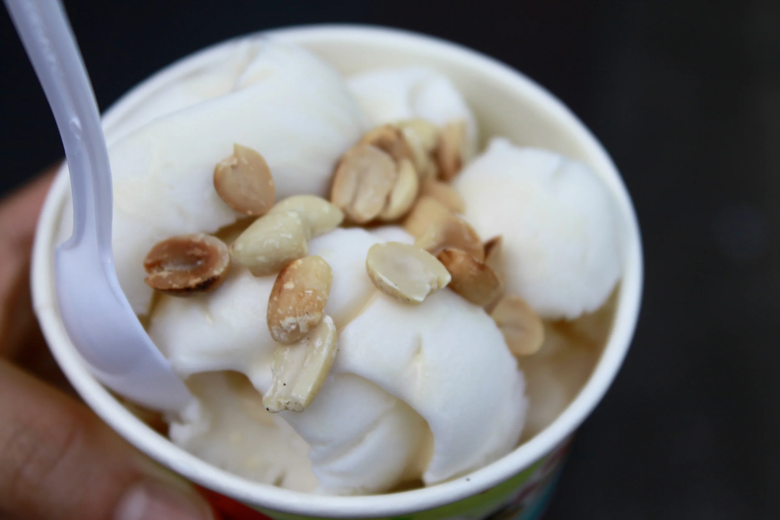Coconut Milk Ice Cream with Peanuts 
