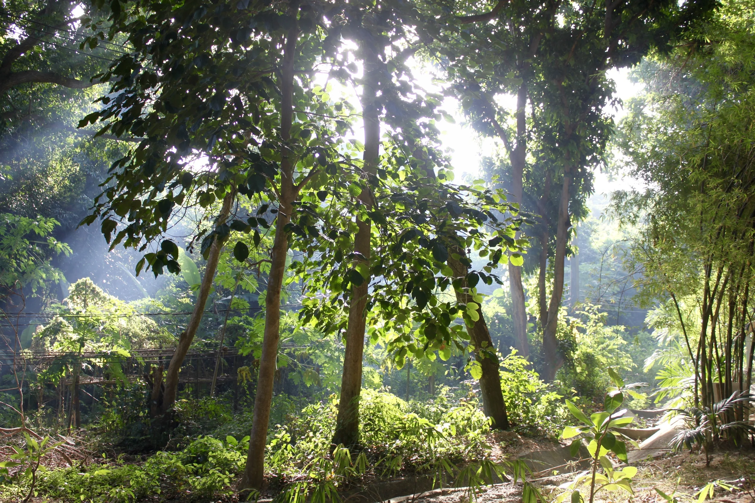 Bordering Ao Wai, Koh Samet