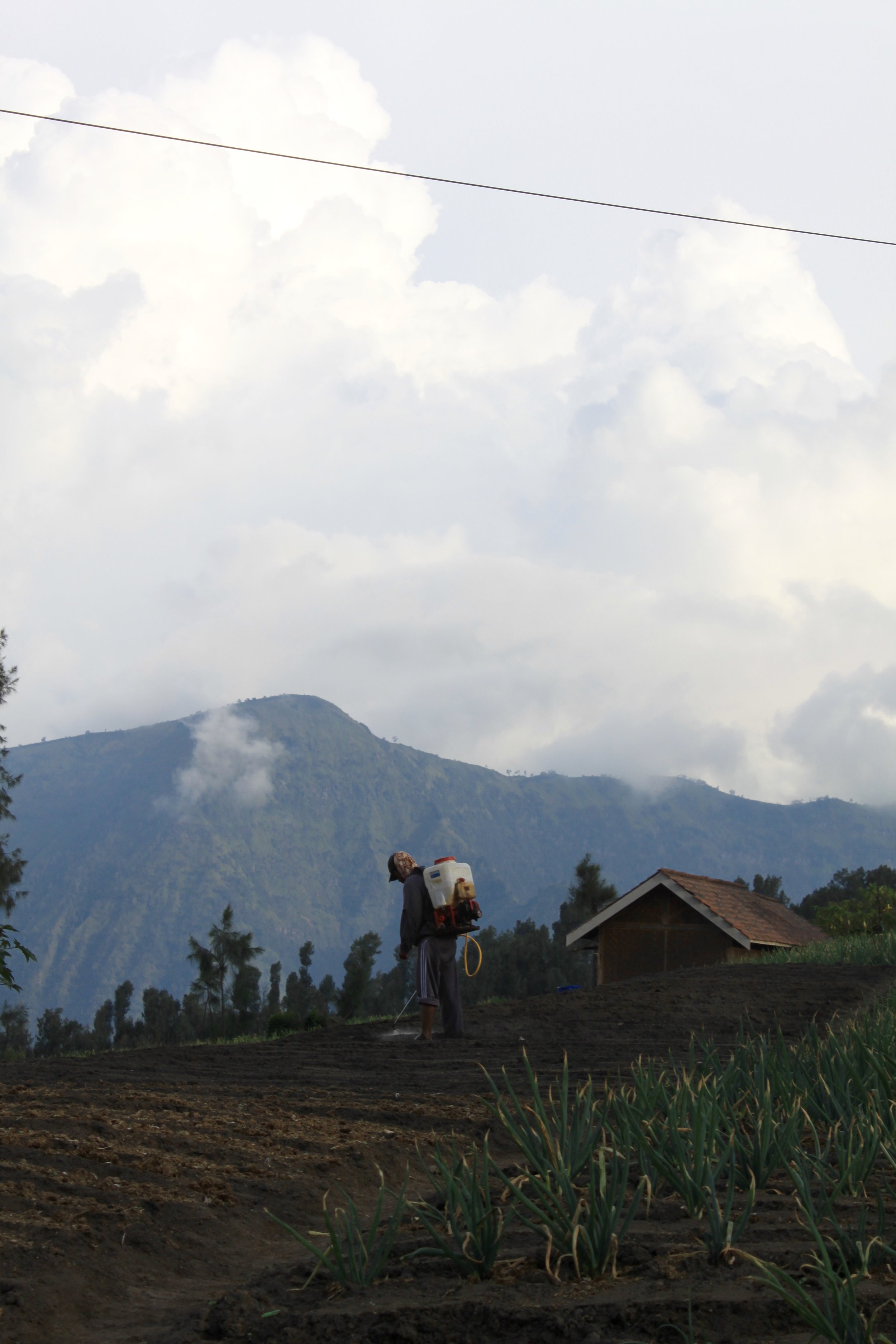 Watering the Fields