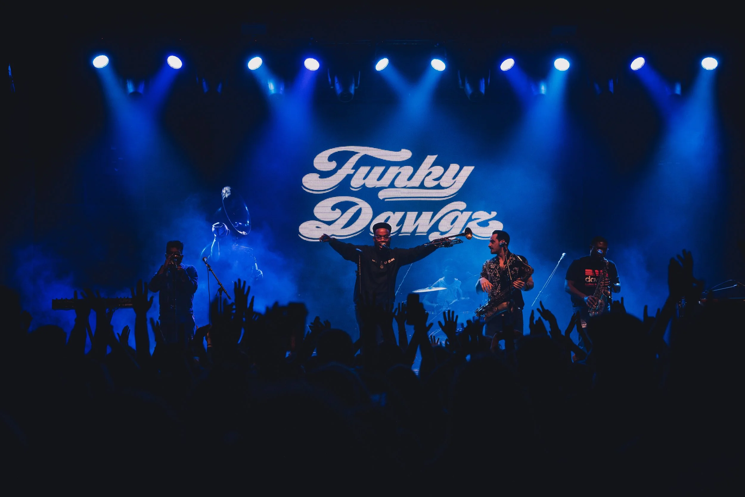 Media — Funky Dawgz