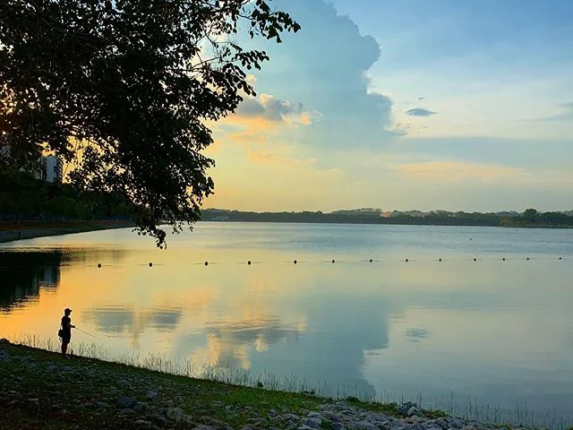 One of the perks of where I work is the opportunity to go for a run at the park next door after work with this view ❤️ #sunset #park #run #singapore #standardcharteredmarathon2019 #tpdesign #temasekpoly #openskies #fishing
