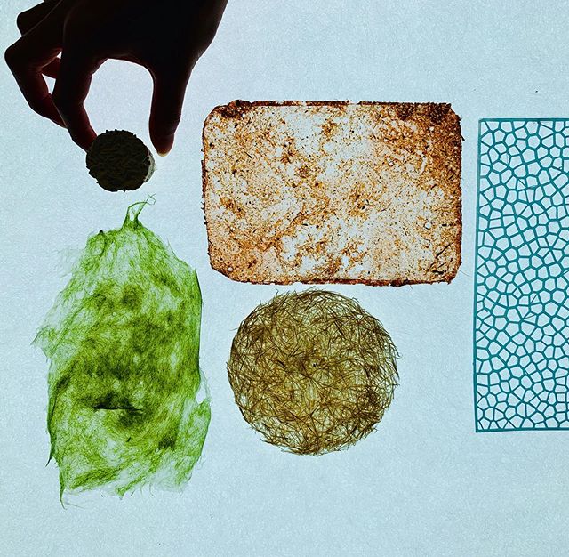 The potential of future materials are endless. What will you pick? A leather from fruit peel? An algae fabric? Sugar cane fibre? 3D printed PLA structures inspired by insect wings or Mushroom mycelium foam? #sustainabledesign #sustainablematerials #m