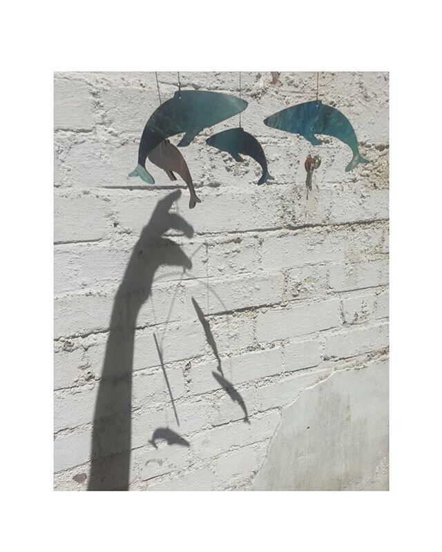 I've been making things and holding them up to the sun
//
The sharks are TBC because they hang like they're drunk. Swipe to the end 🦈 #WIP