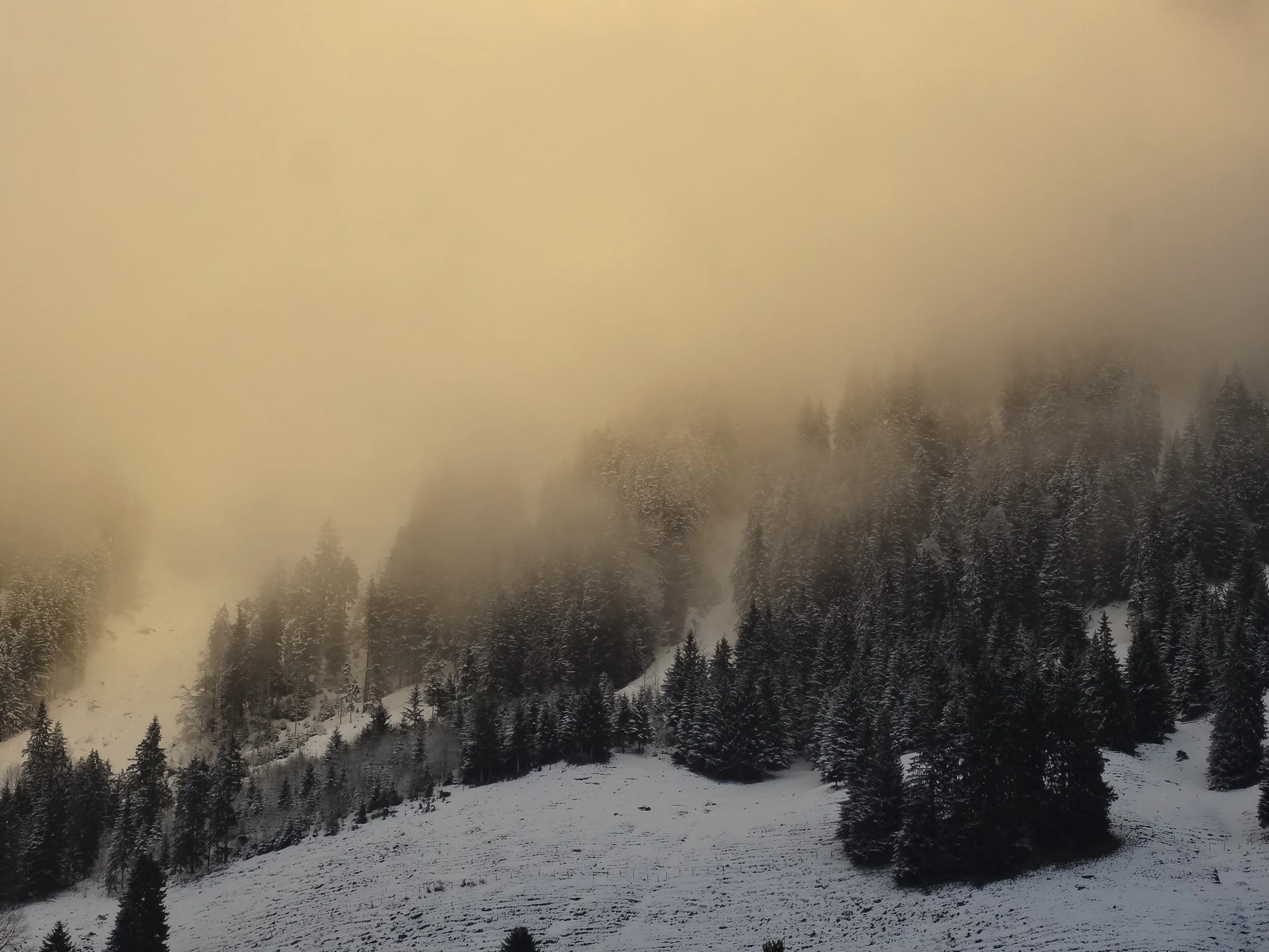 Eine neue Zukunft für unseren Skilift