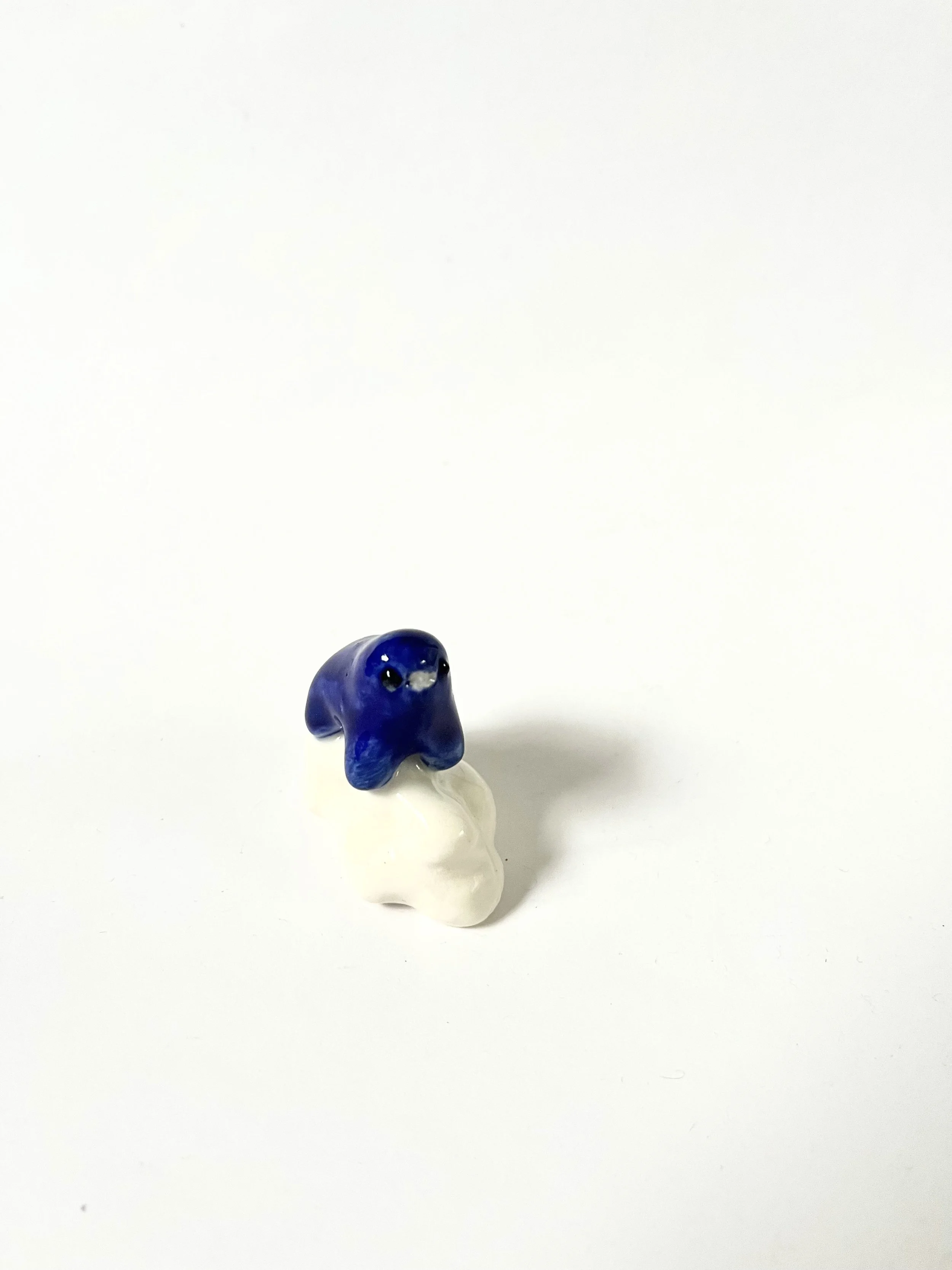 IMG_4600.jpeg
