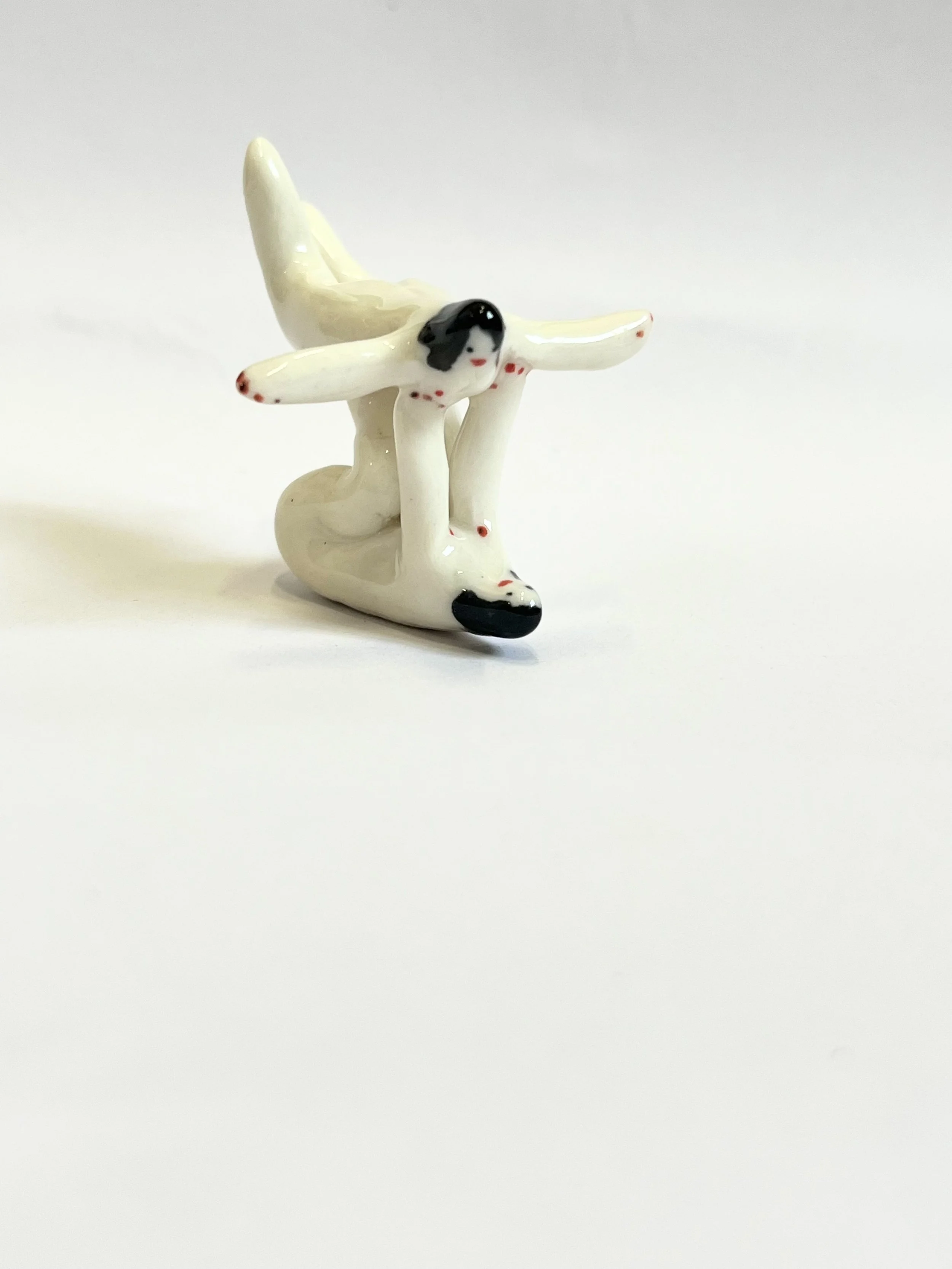 IMG_3936.jpeg