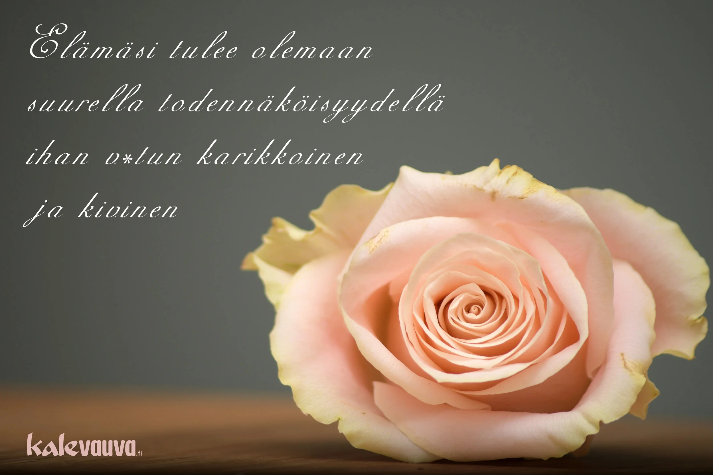 kalevauva-onnittelukortti1-sensuroitu2.jpg