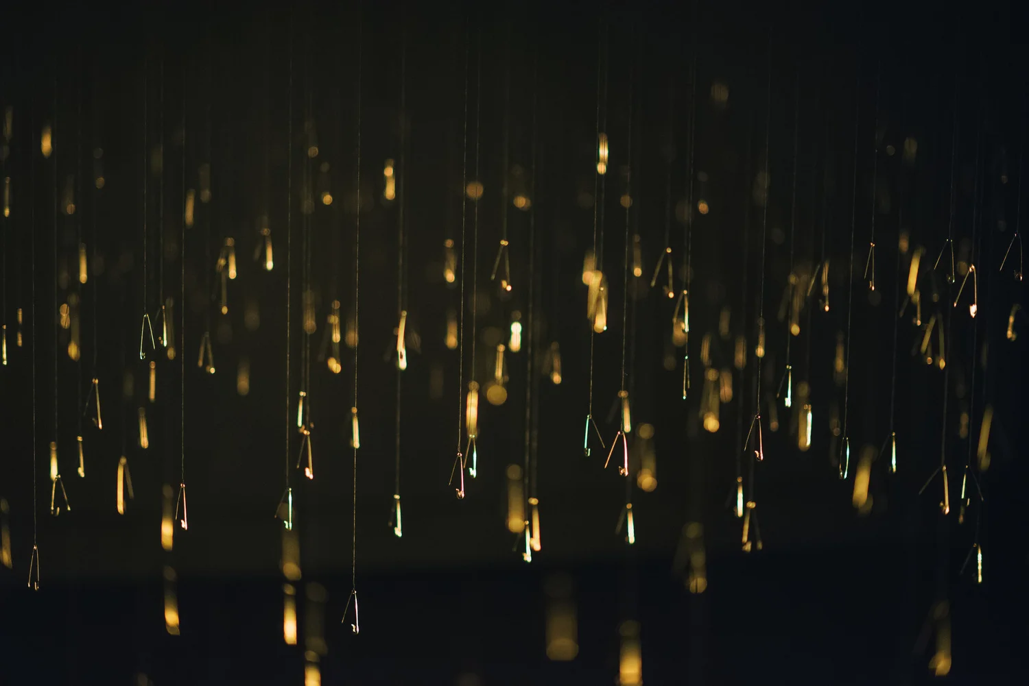 Rubaba Haider, Like a shadow; I am and I am not, courtesy Here and Now, GenYM Lawrence Wilson Art Gallery, 2016 