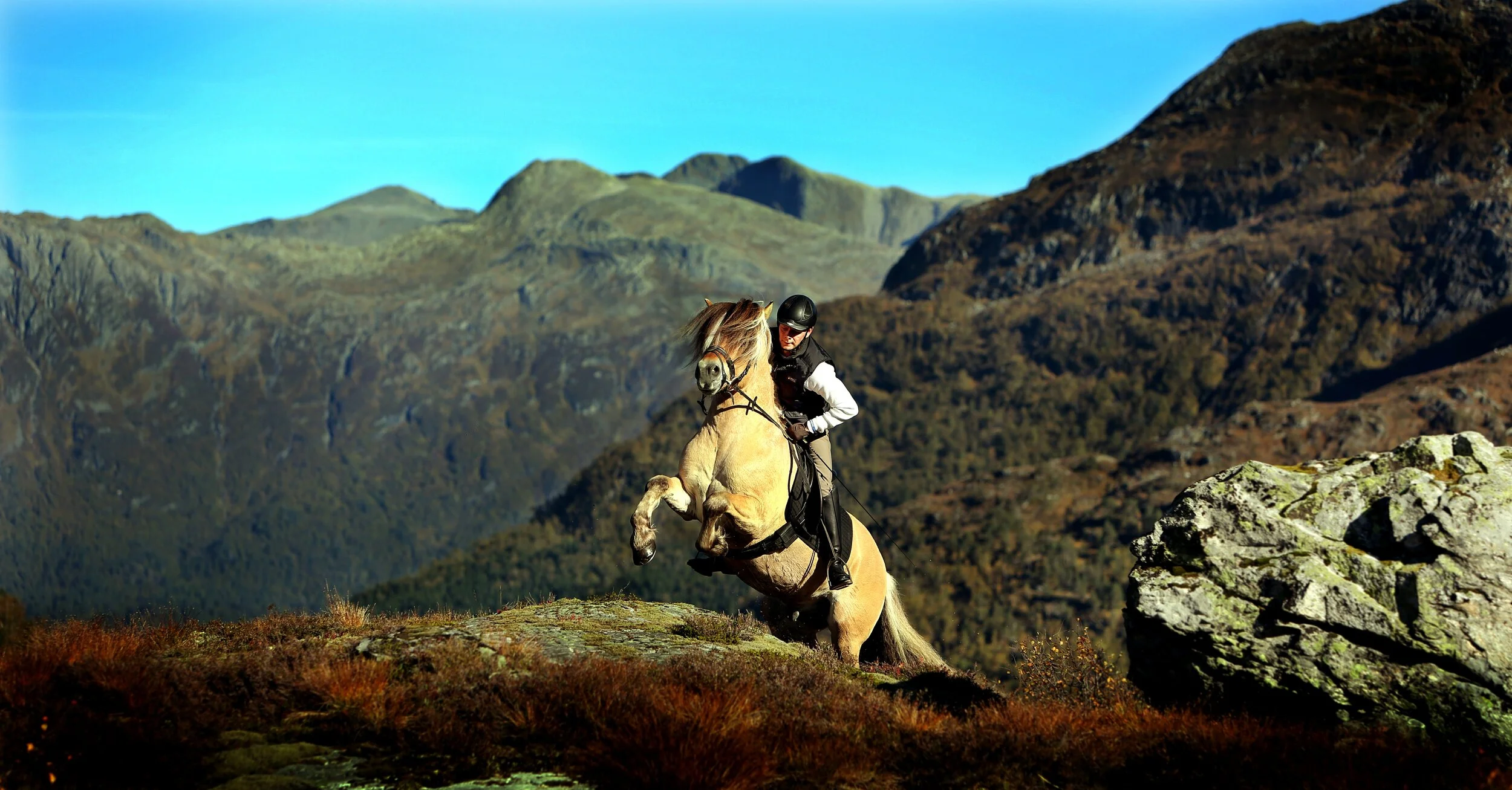 135.000,- til Fjording-donasjonar