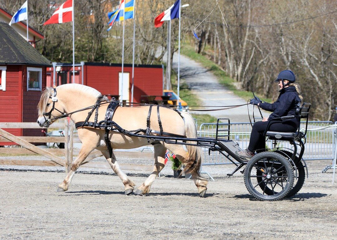 Fjording-gåver på 175.000,-