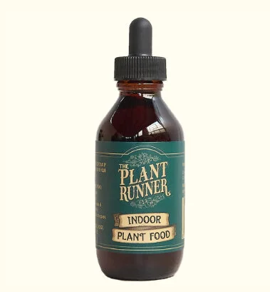 Indoor Plant Food Adelaide
