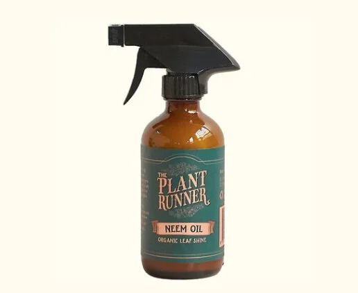neem oil leaf shine.jpg