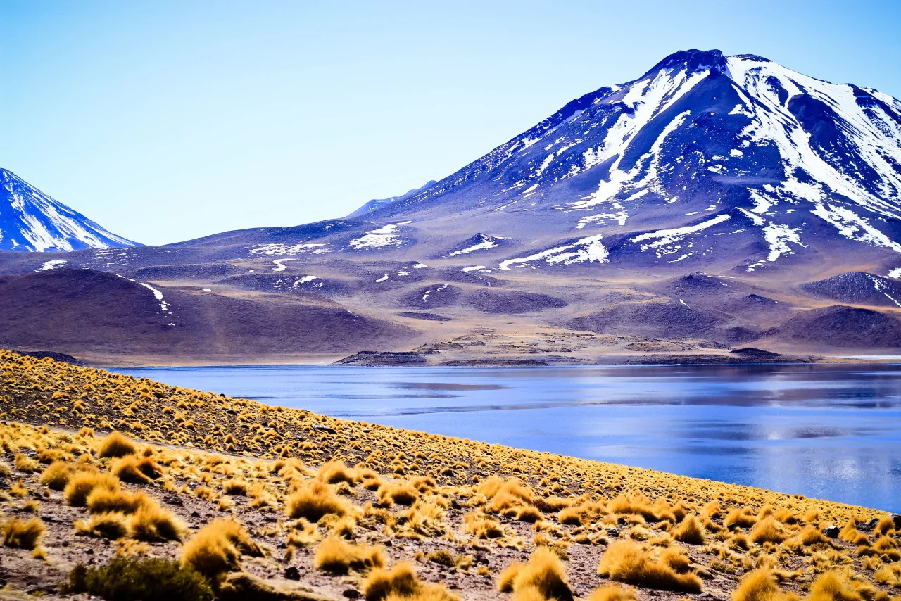 sanpedro3.jpg