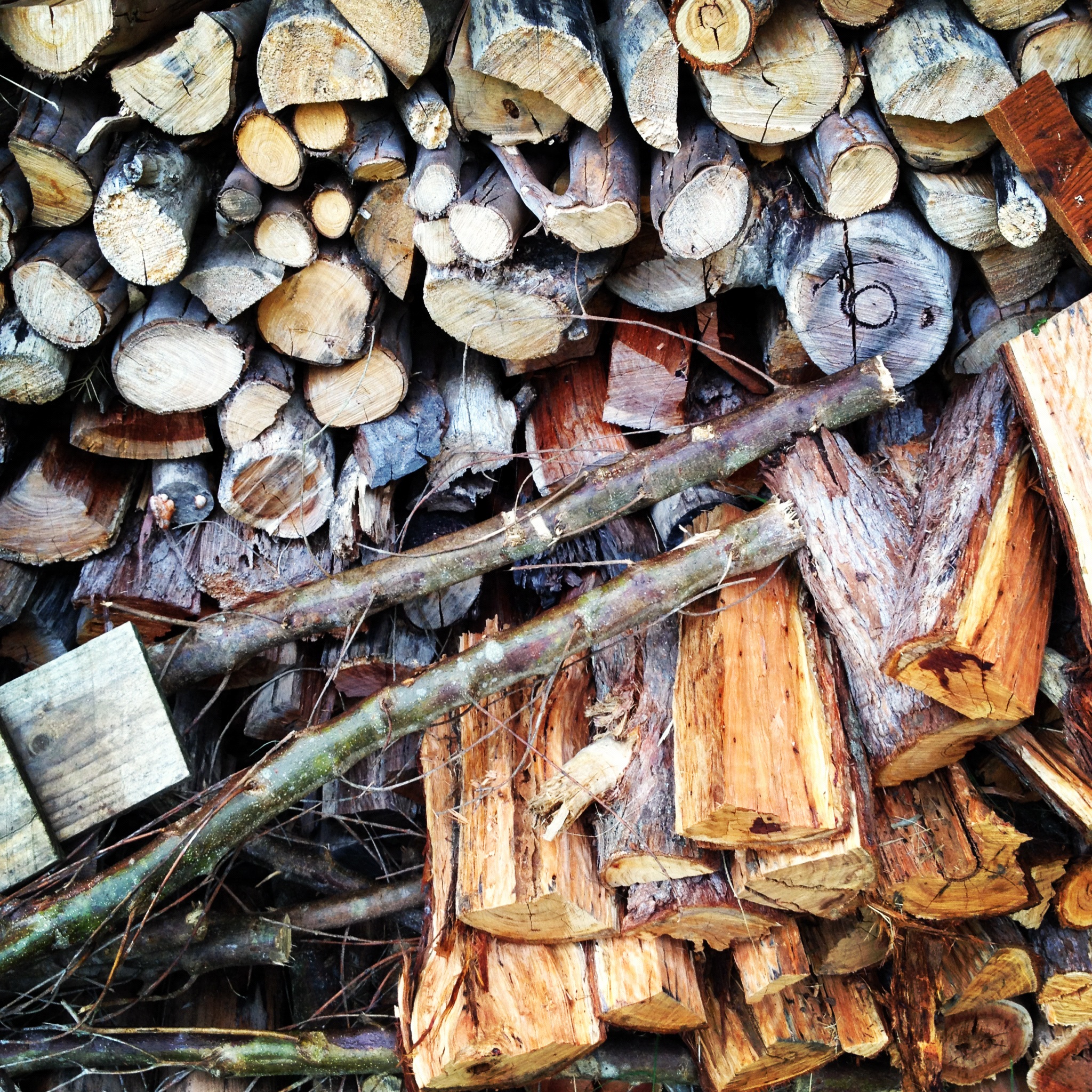 woodpile.JPG
