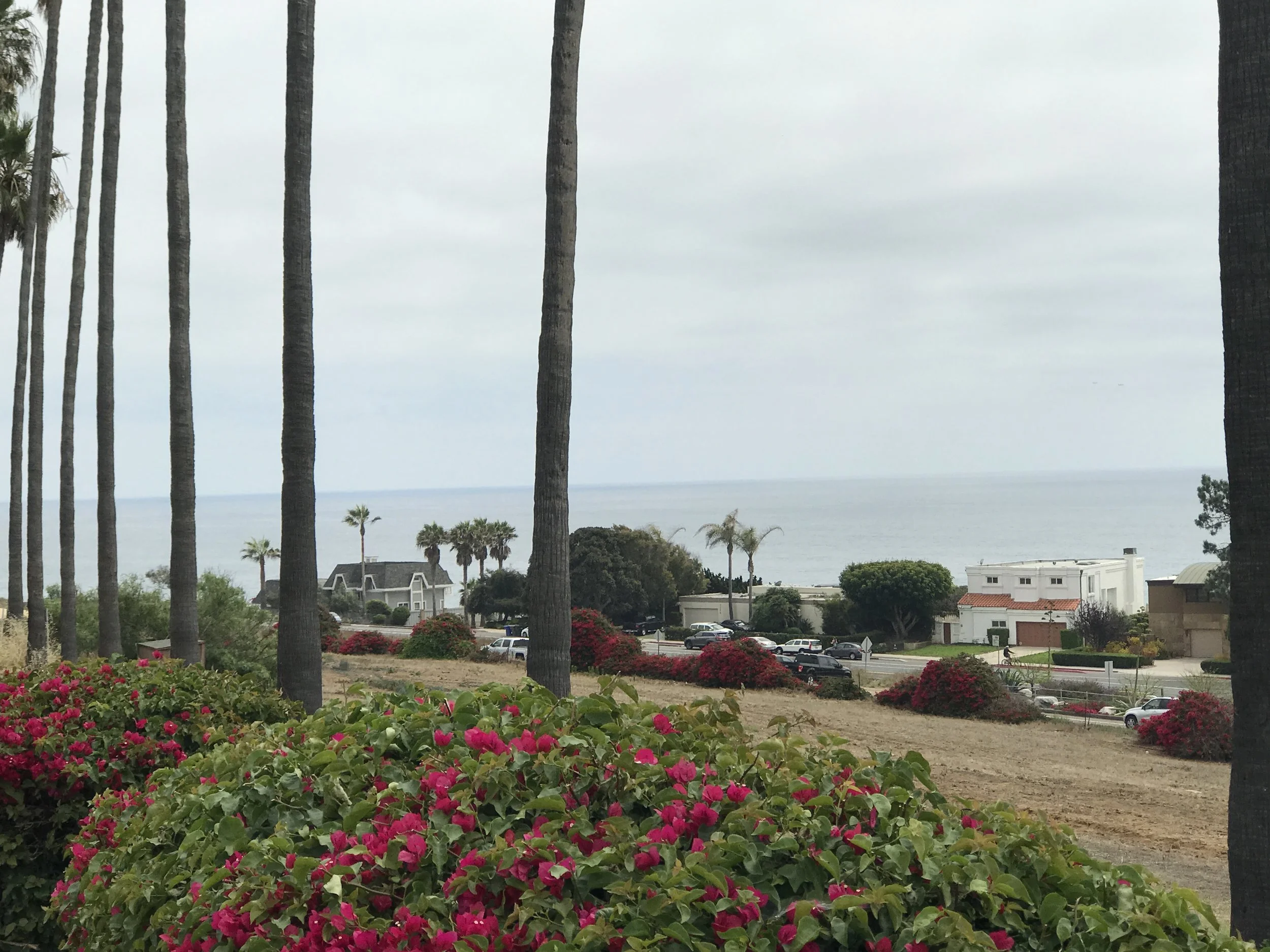 Beautiful Encinitas, San Diego
