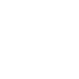 NZIFF_E-Mark2017_Primary_Selection_Logo_White.png