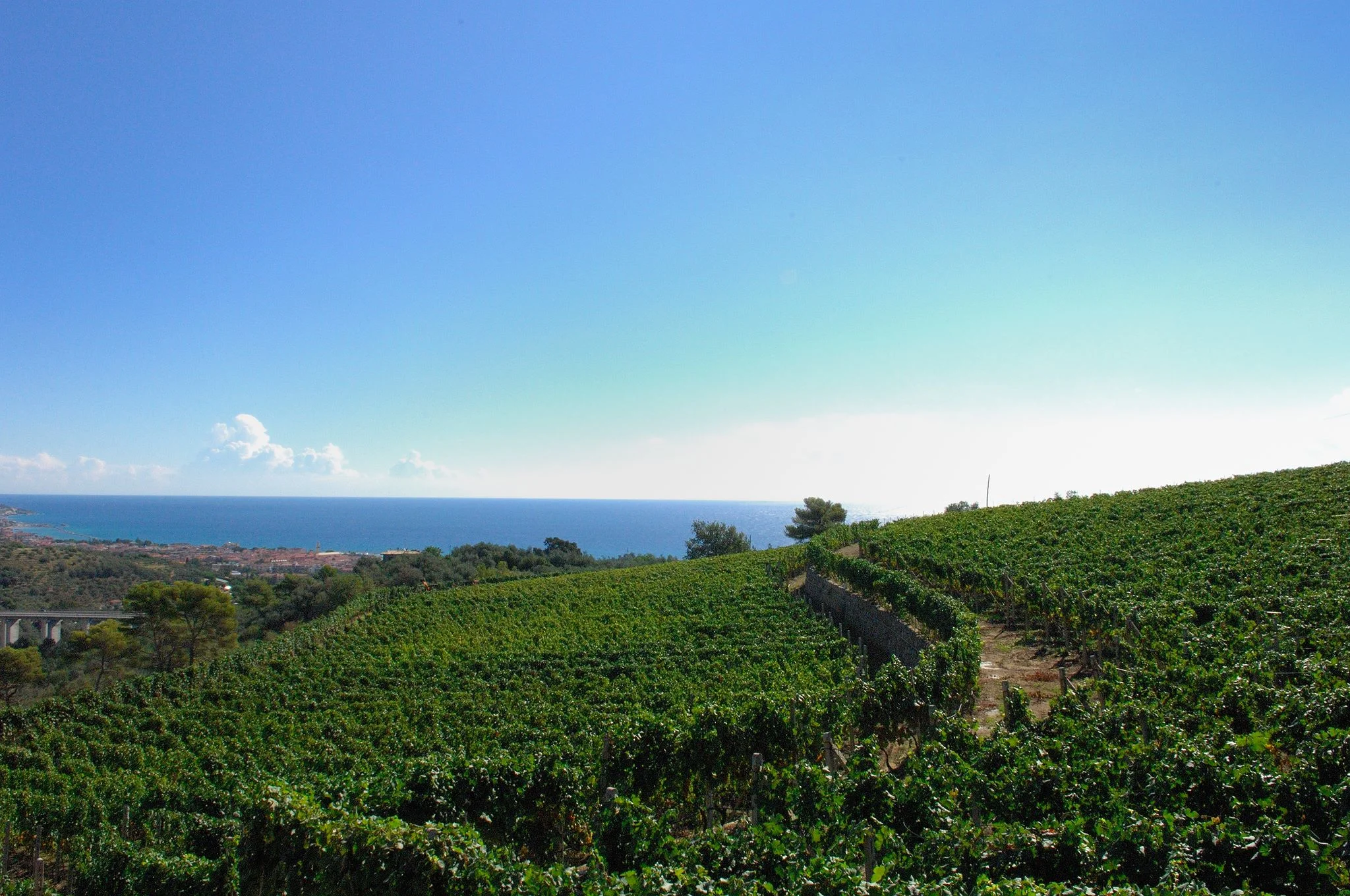 Poggio Dei Gorleri