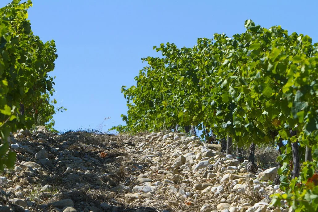   Domaine les Évigneaux  