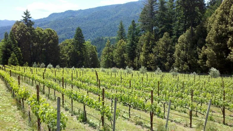 Hardesty Cellars
