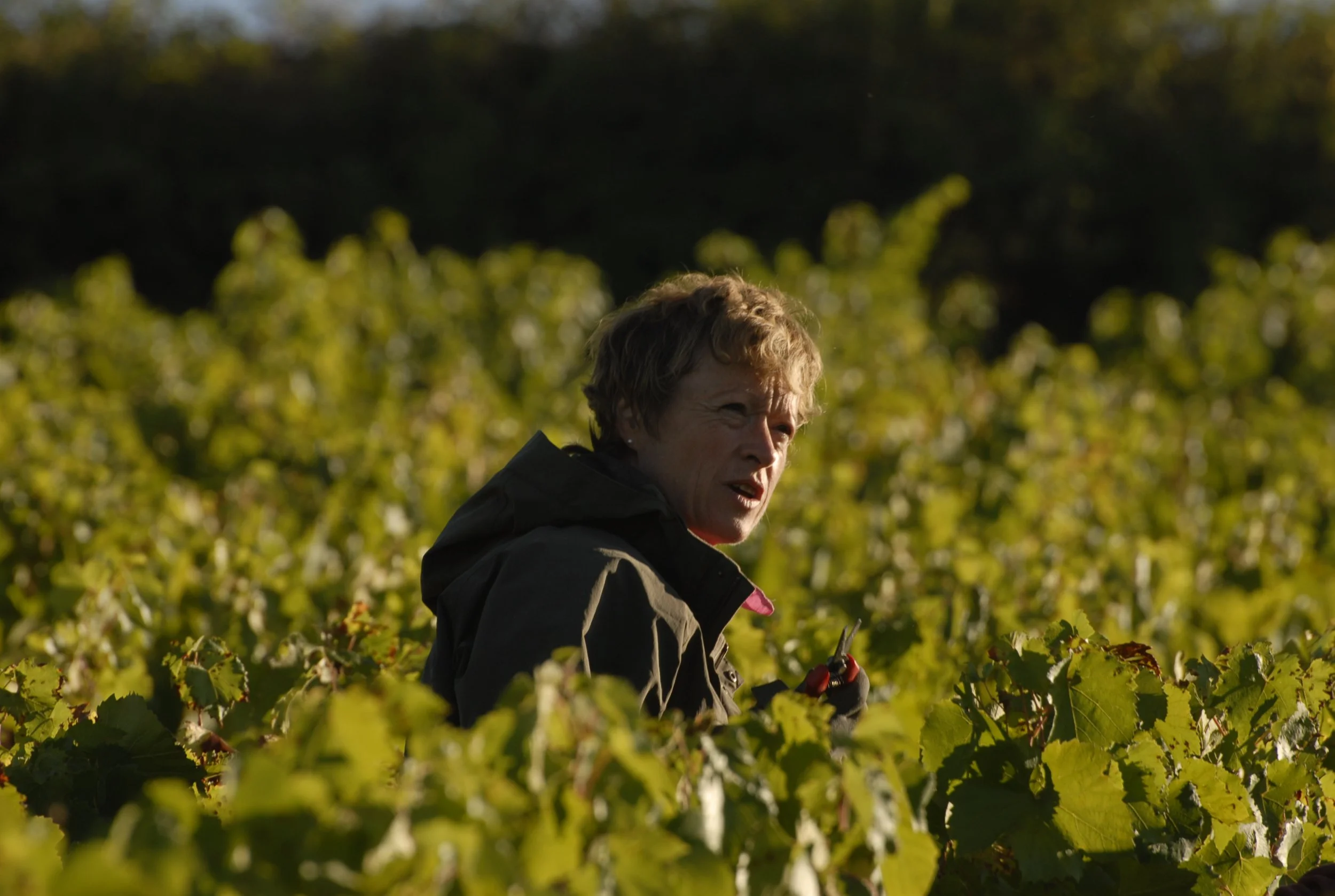 Domaine Francoise Jeanniard