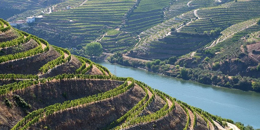 Quinta do Tedo