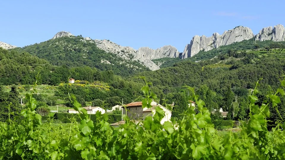 Gigondas la Cave
