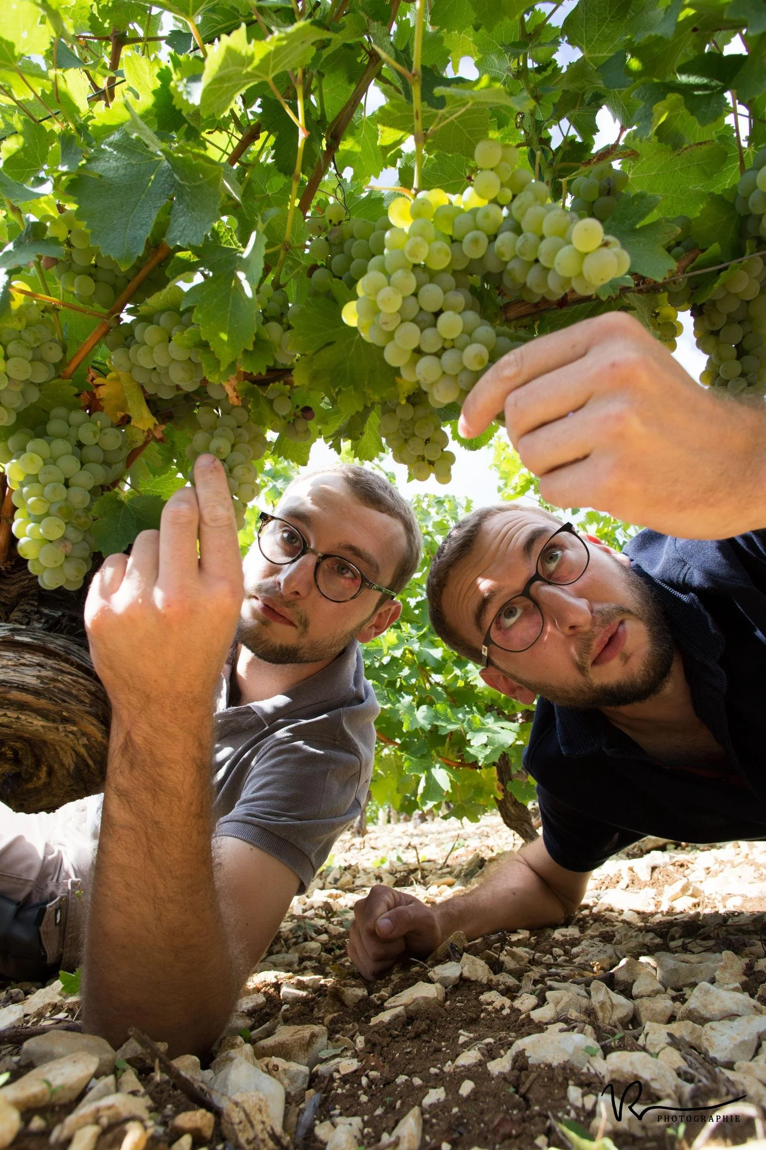 Alexandre and Antoine Vétois