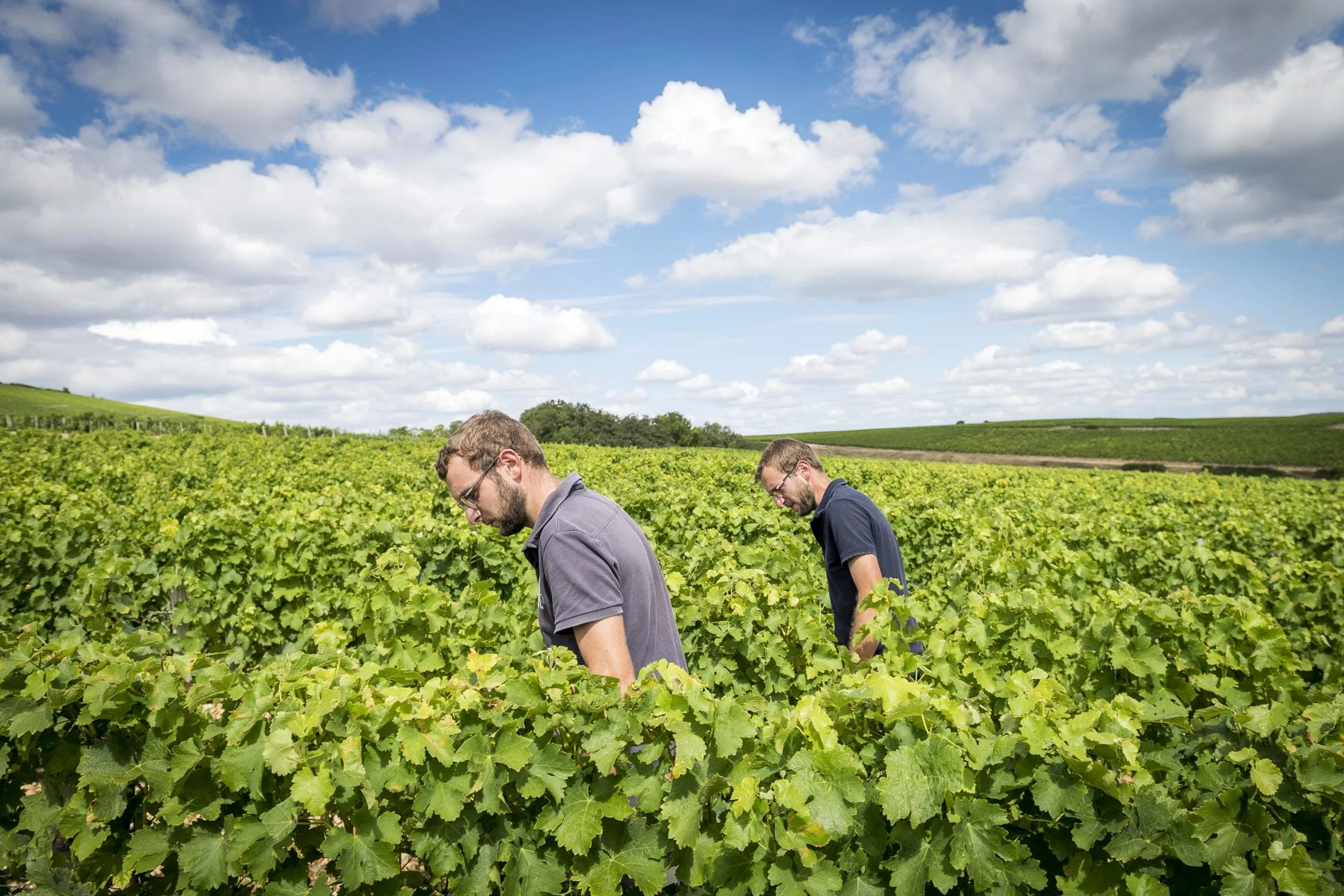 Alexandre and Antoine Vétois