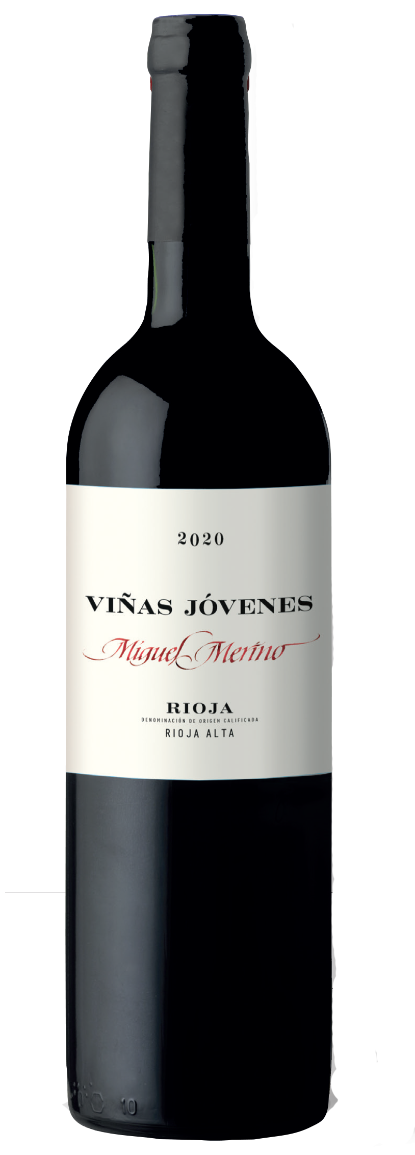 Vinas Jovenes
