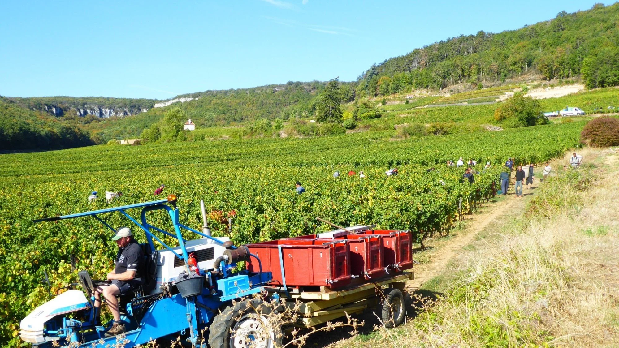 Domaine Tortochot