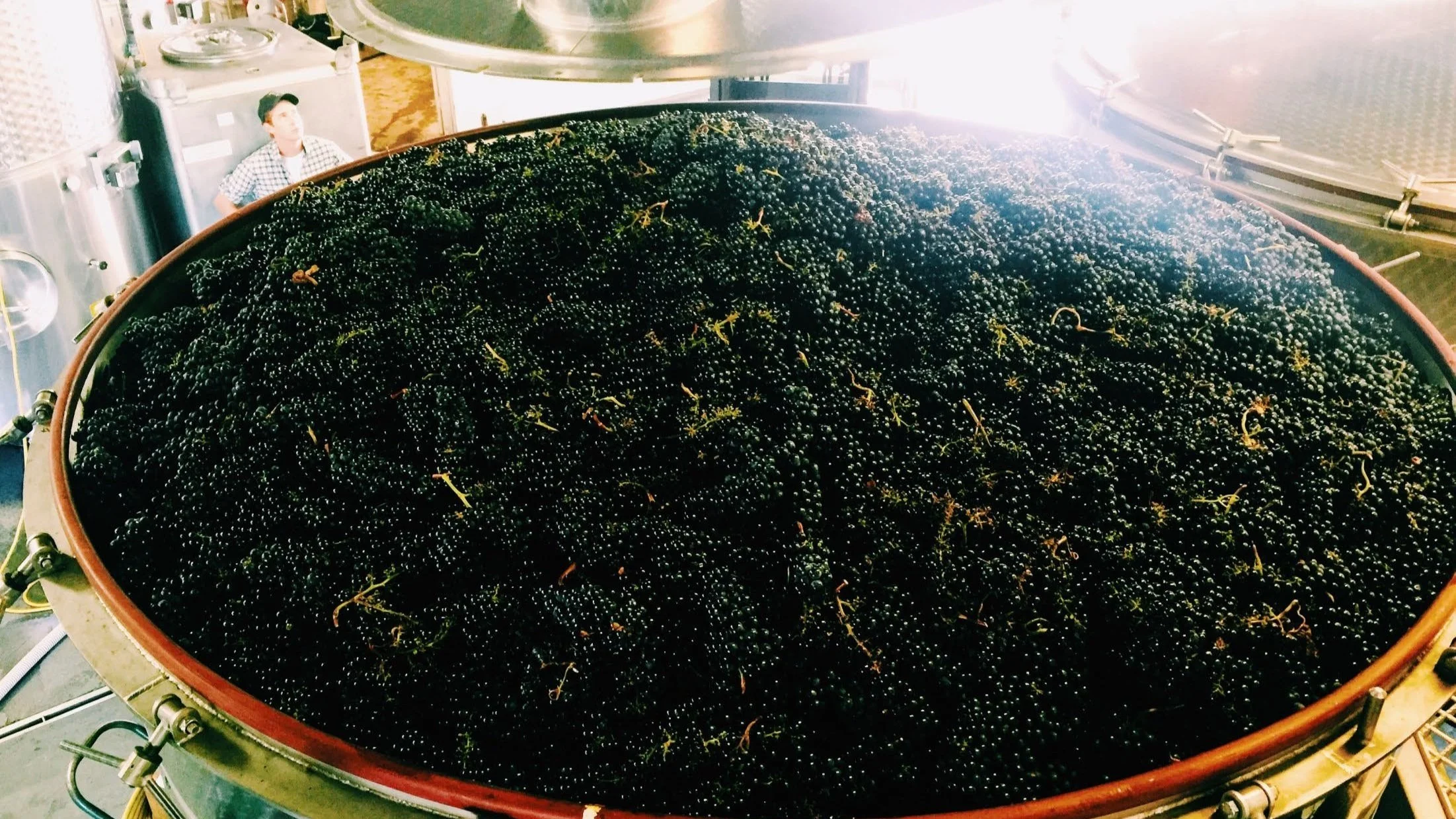 Bedell Cellars