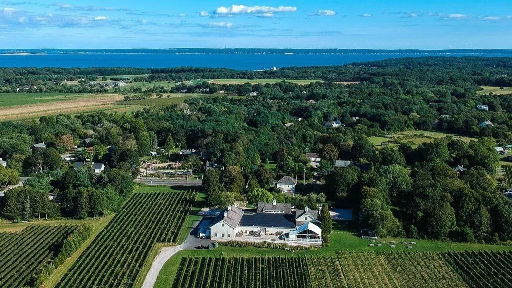 Bedell Cellars