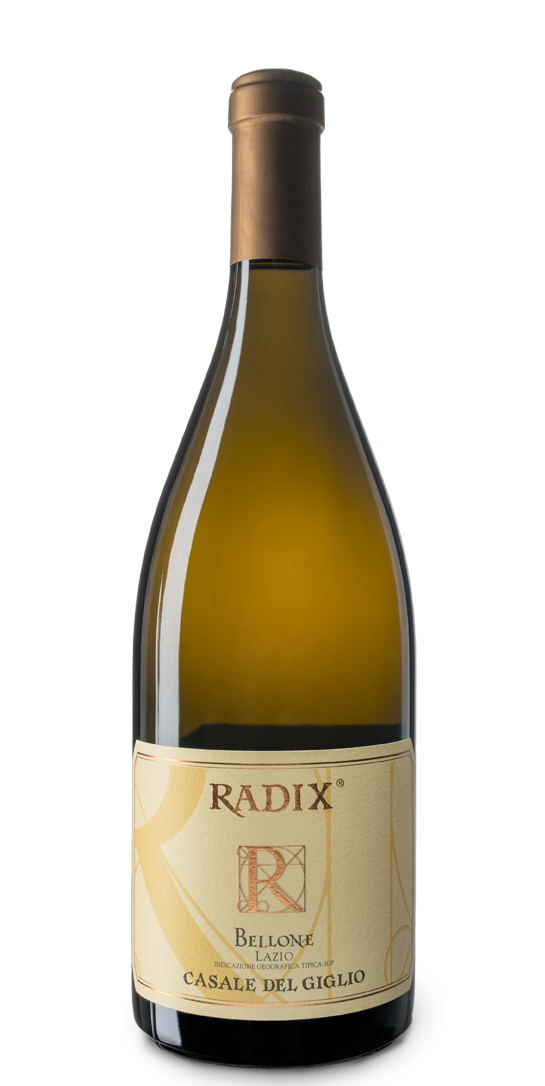 Bellone 'Radix'