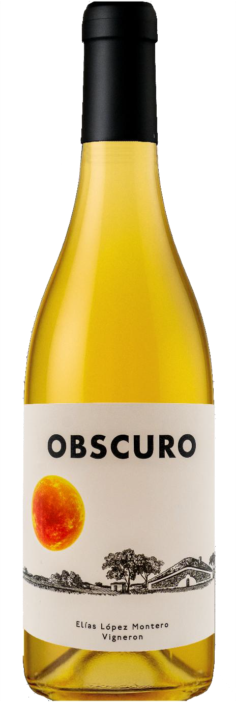 'Obscuro' Naranja