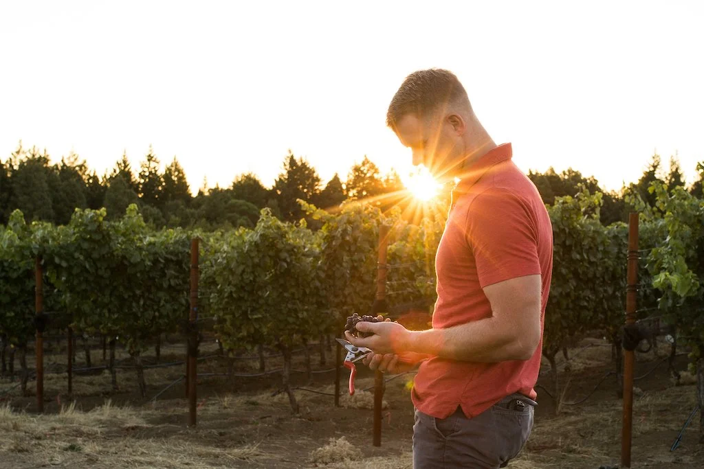 Delta Wine